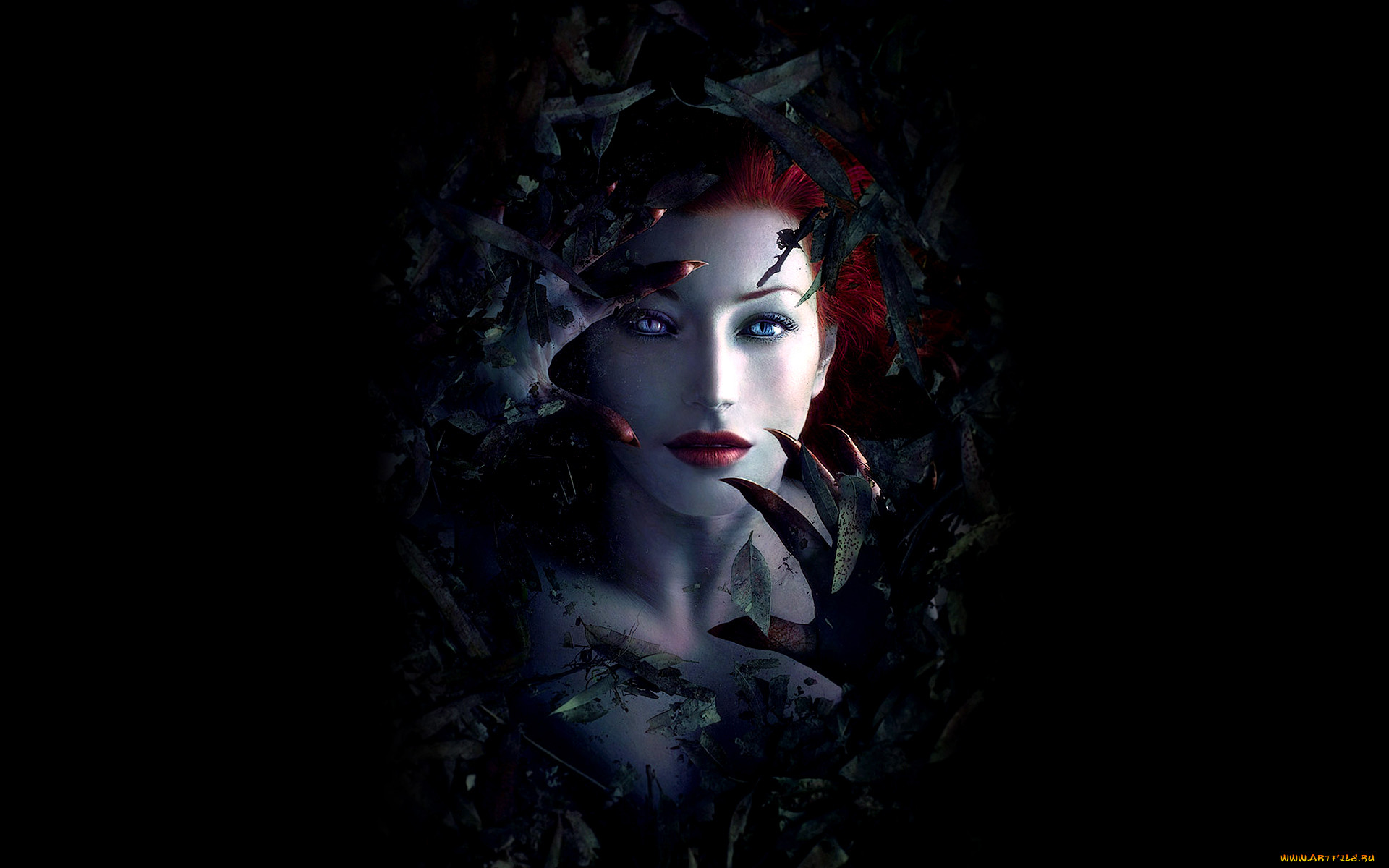 ariel, by, 0mri, , 